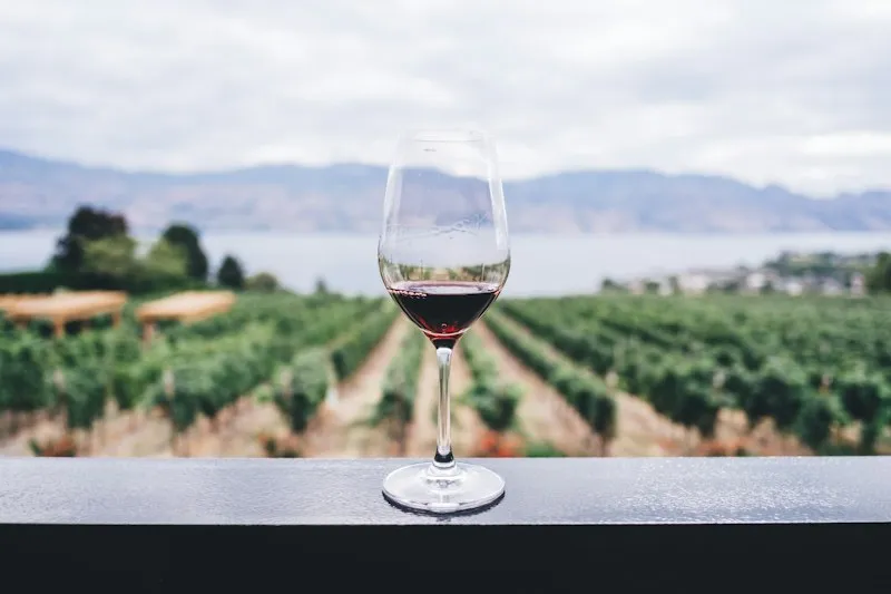 Glasses of red wine